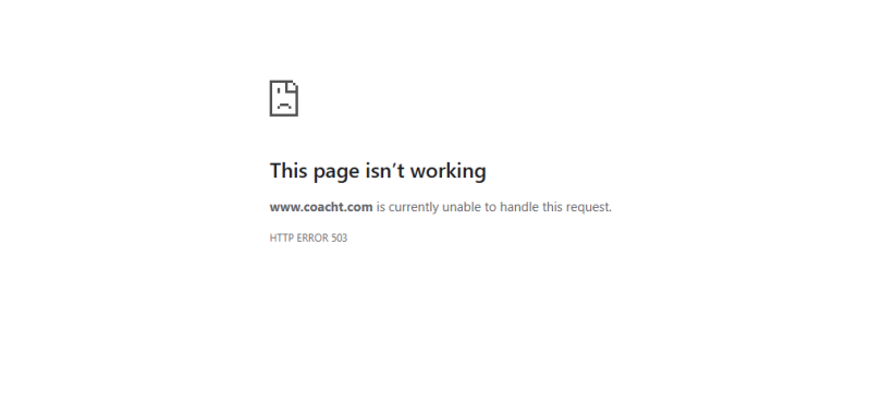 CoachT Error.PNG