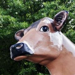 MayfieldMilker