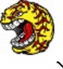AAsoftballguru